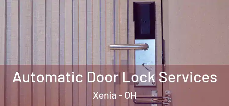 Automatic Door Lock Services Xenia - OH