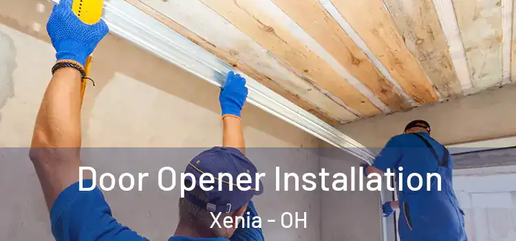 Door Opener Installation Xenia - OH