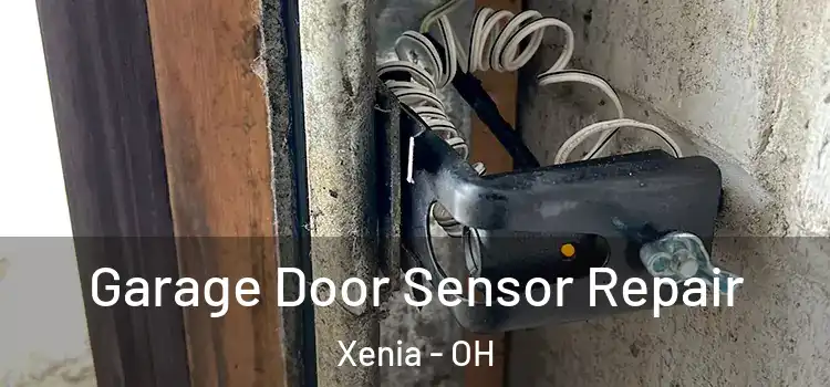 Garage Door Sensor Repair Xenia - OH