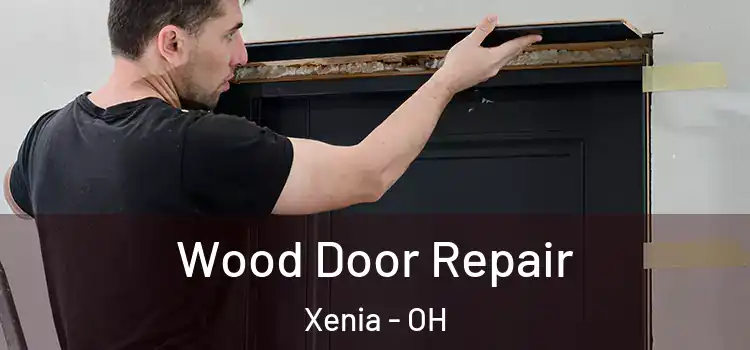 Wood Door Repair Xenia - OH